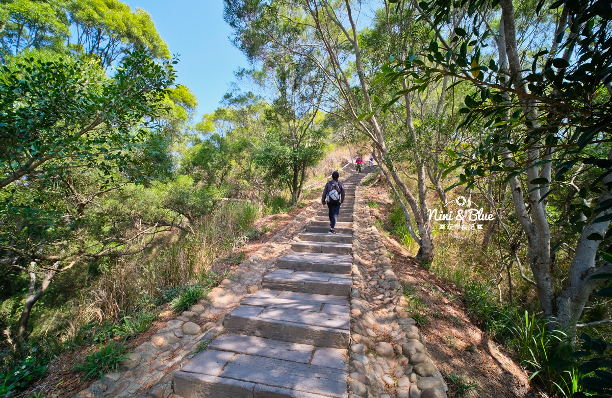 萬里長城登山步道| 台中大肚登山步道，保安林、監理所、環保公園，會走路的小小孩也可來爬! @嘿!部落!