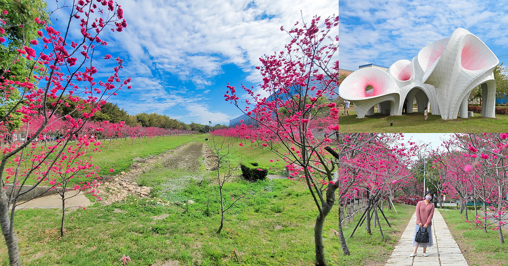 中科崴立櫻花公園 | 2022台中熱門賞櫻景點 中科崴立櫻花公園，八重櫻和山櫻花爆炸盛開中 @嘿!部落!