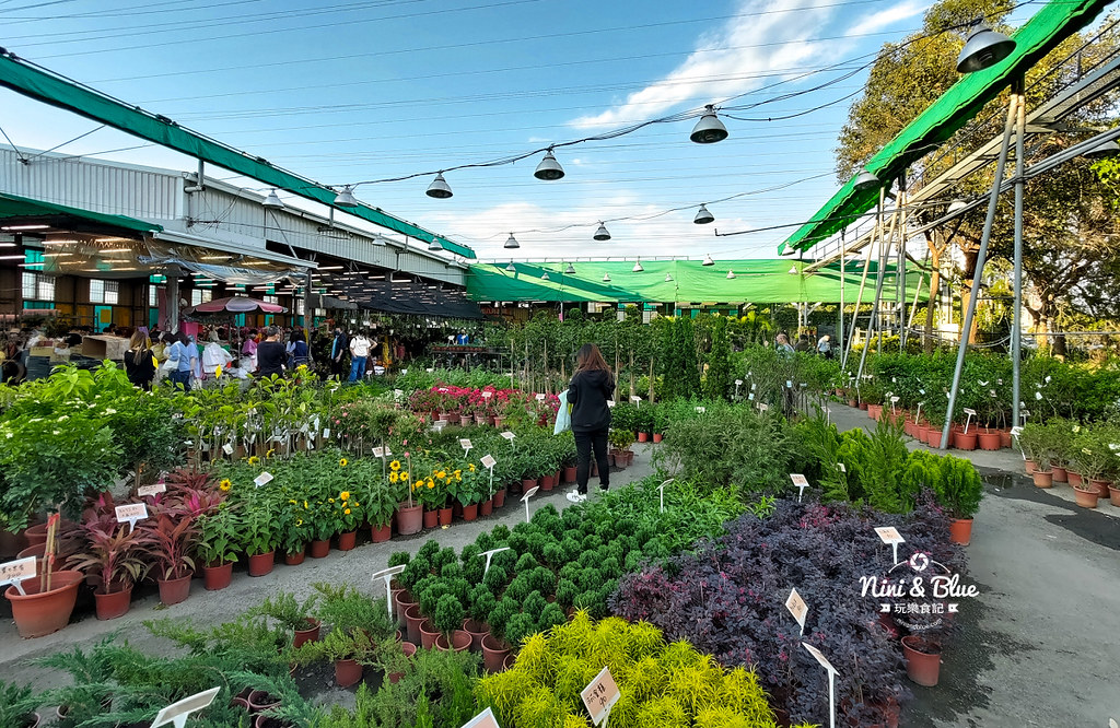 八角農園-台中超狂花市，觀葉植物、多肉植物、季節花卉等花卉20元起，買5盆以上更超值，大雅花市 @嘿!部落!