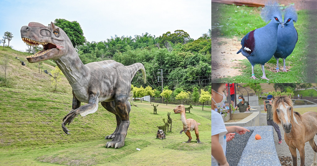 九九峰動物樂園 | 亞洲最大的鳥類主題動物園就在南投草屯，南投全新動物樂園搶先看 @嘿!部落!