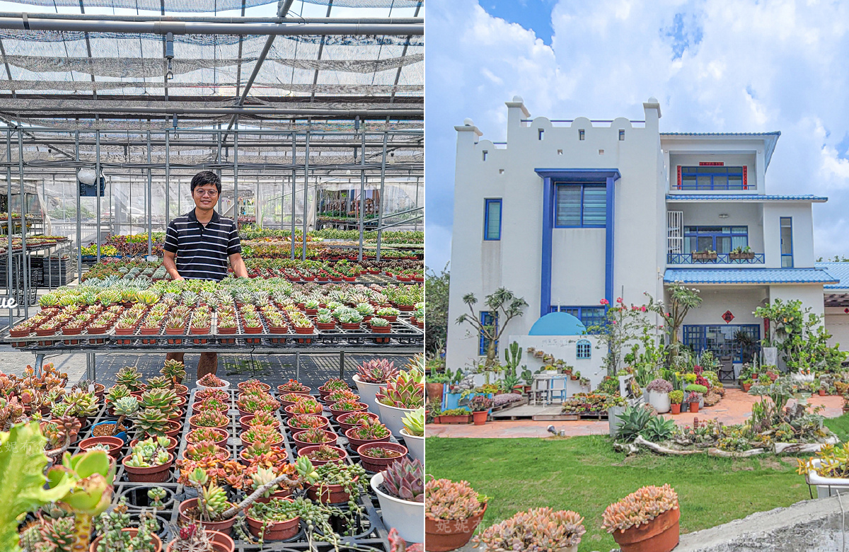 荷蘭花園多肉好好買 &#8211; 彰化田尾花園公路旁的多肉專賣店，地中海風格多肉庭園 @嘿!部落!