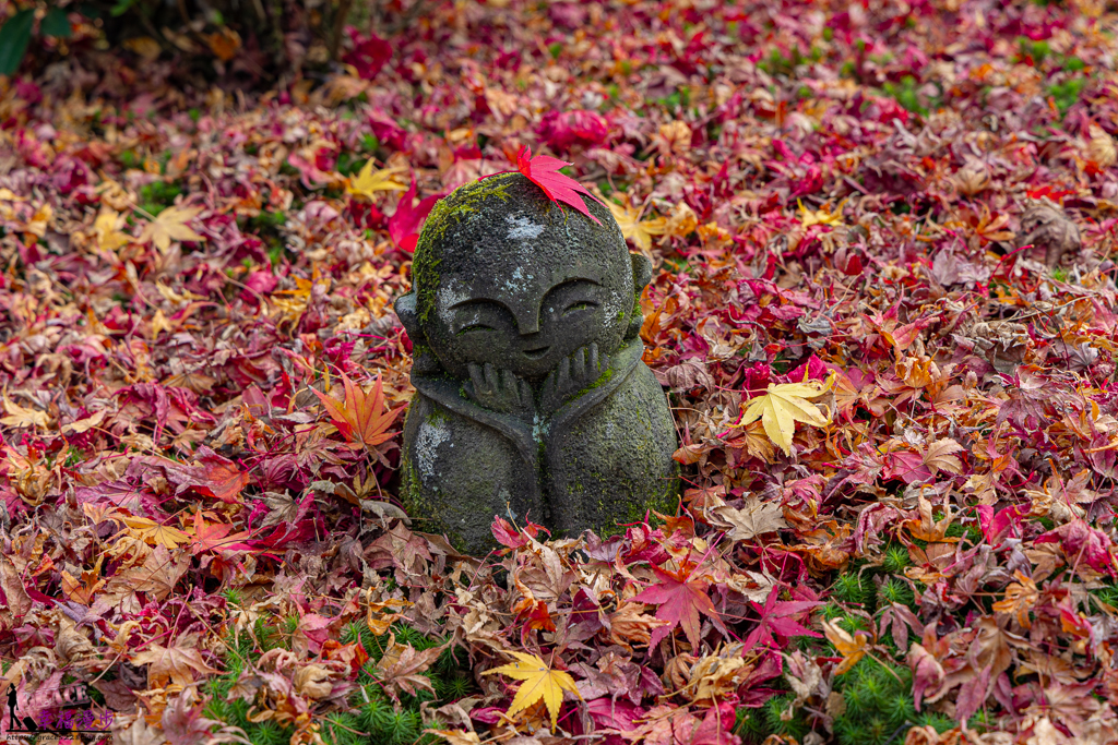 圓光寺｜京都府日本&#8211;欣賞奔龍石庭的枯山水景色和十牛之庭的楓葉美景，庭園中的小地藏好可愛 @嘿!部落!