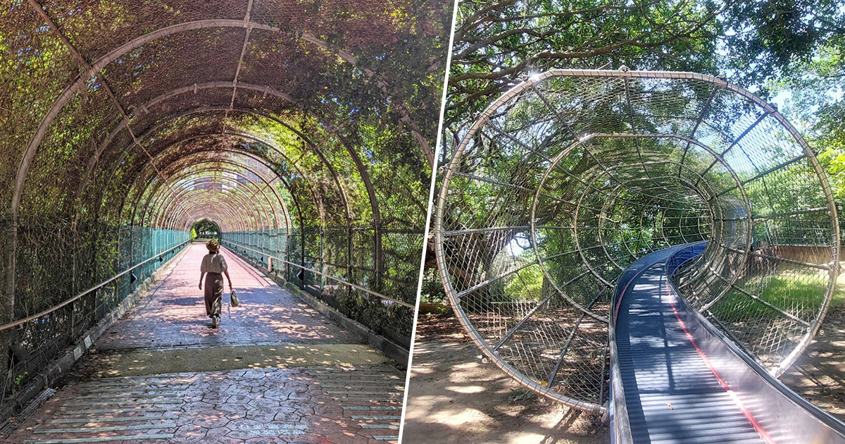 【桃園景點】大溪埔頂公園｜橫跨高速公路兩端的綠帶公園，滾輪溜滑梯、高空溜索超好玩