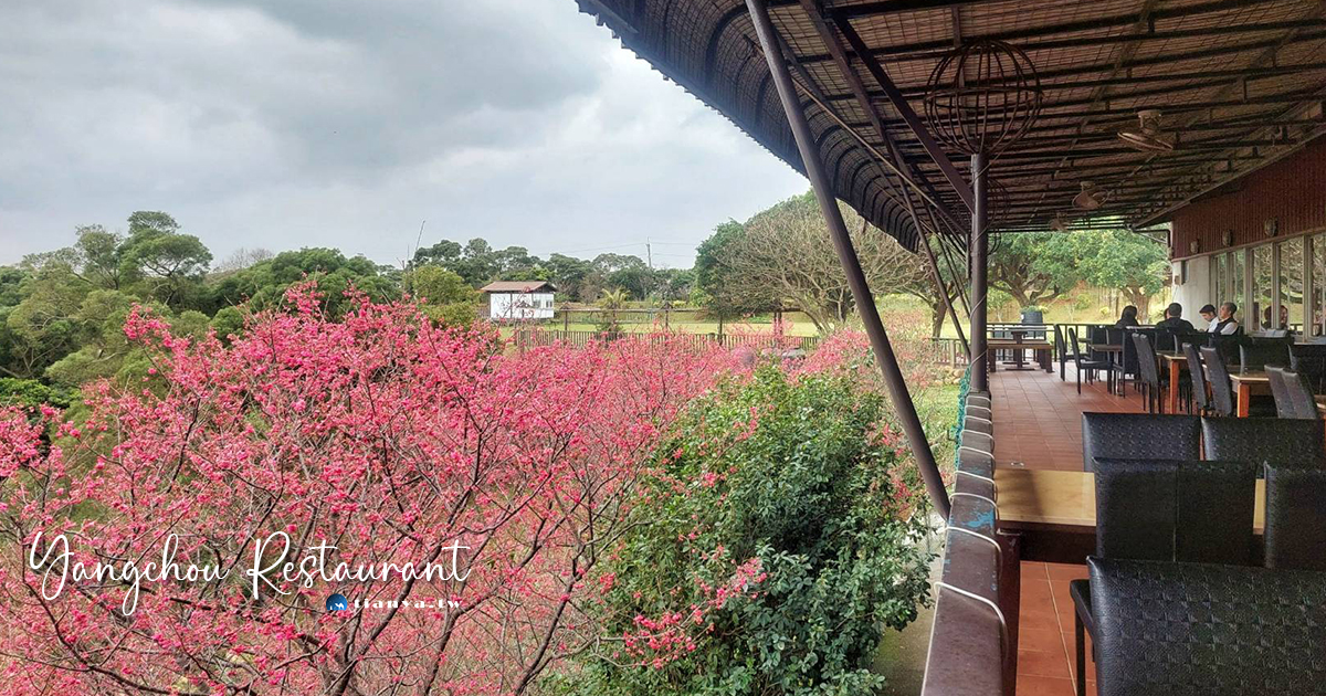 【桃園美食】羊稠休閒餐廳｜羊稠步道旁大草原景觀餐廳，櫻花季來用餐最美