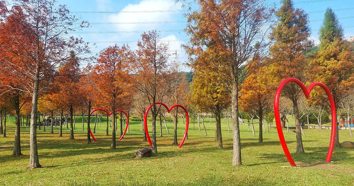 【桃園景點】大溪河濱公園｜萬坪綠地×海盜船遊戲場×景觀生態池×落羽松森林，大人約會小孩放電的好地方