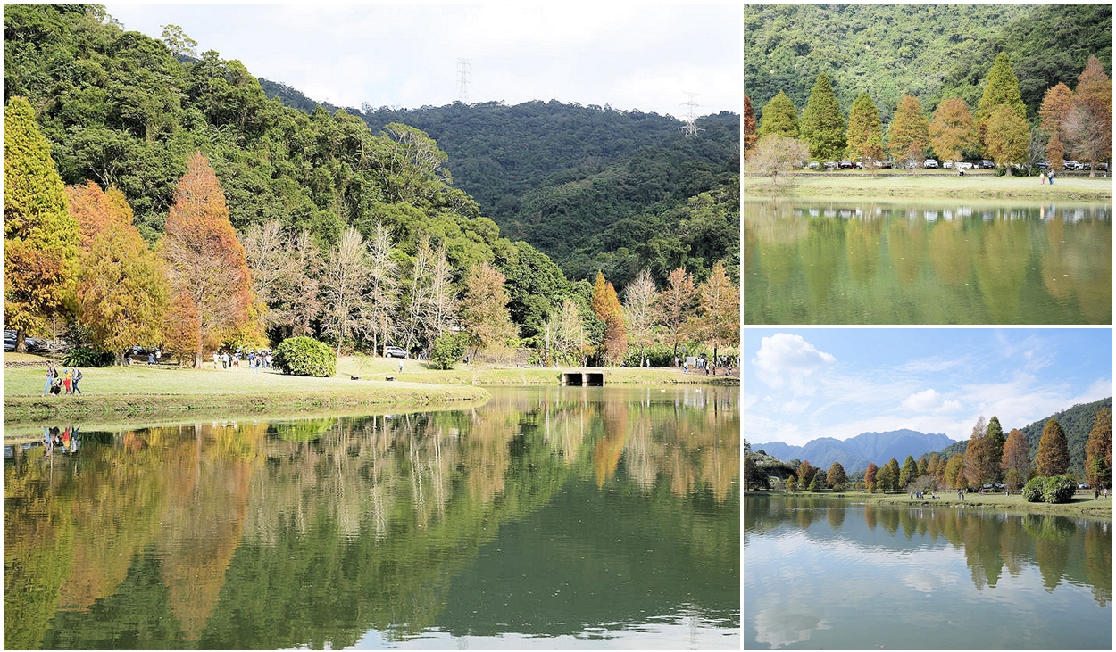 宜蘭員山落羽松秘境蜊埤湖。湖光山色變色落羽松美景 @嘿!部落!