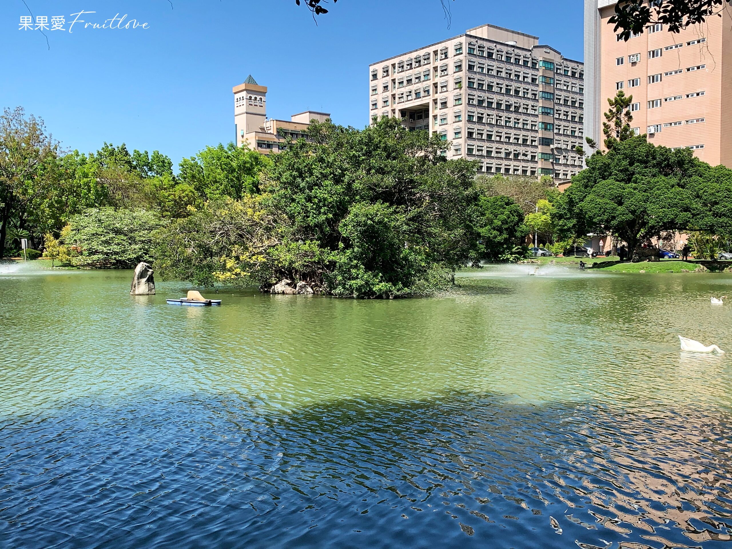 台中南區景點|漫步在校園湖畔，感受學術氛圍 ，欣賞豐富自然生態