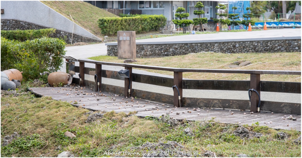 台東景點 富岡地質公園 來看寄居蟹上演換殼秀 @嘿!部落!