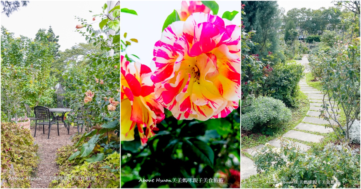 臺北玫瑰園 臺北免費景點 號稱台版凡爾賽花園 超級浪漫 自備下午茶就像在歐式花園裏面用餐 @嘿!部落!