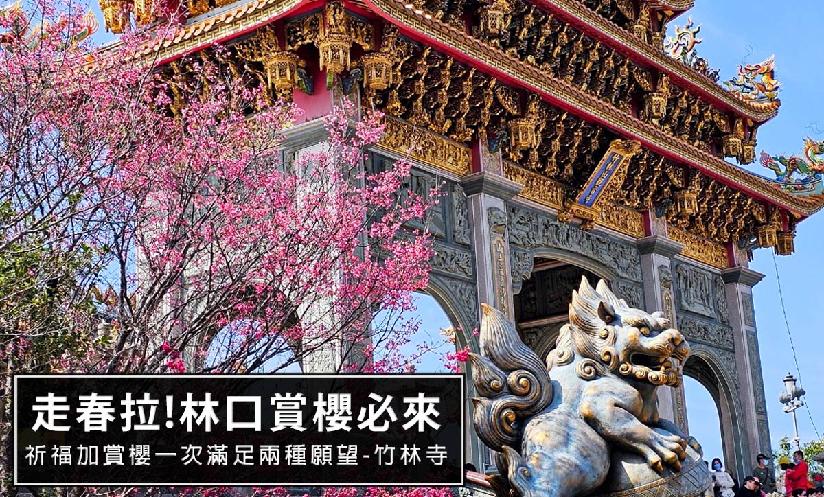 2024新年走春!過年祈福順便也來賞櫻!，到林口賞櫻就一定要到竹林寺!櫻花加廟宇真的很美 @嘿!部落!