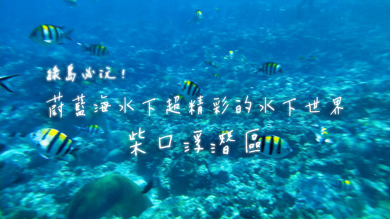 台東綠島｜柴口浮潛區．蔚藍海水超清澈．精彩無比的水下世界景觀 @嘿!部落!