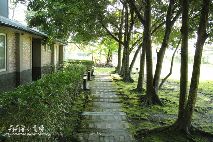 【花蓮】鳳林芳草古樹民宿。睡在菸樓中擁抱著青山綠水