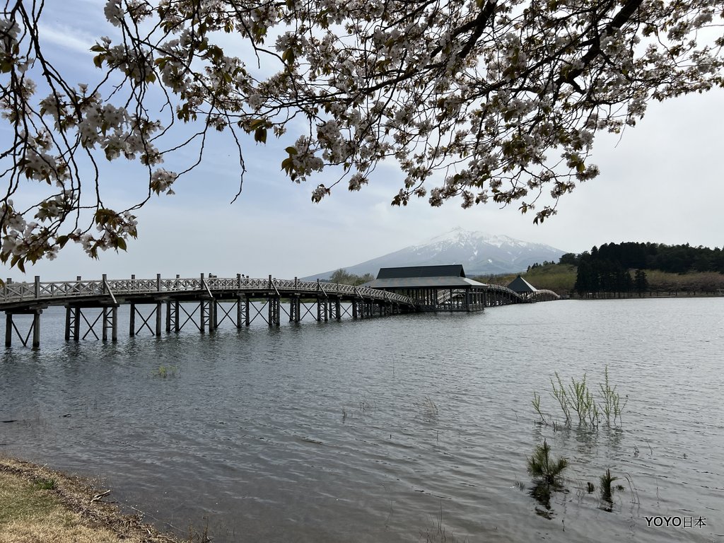 【東北景點】【青森景點】在岩木山前展翅飛翔的鶴之舞橋(鶴の舞橋) @嘿!部落!