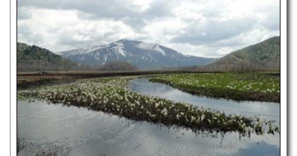 【關東景點】【群馬景點】【東北景點】【福島景點】尾瀨完全攻略 @嘿!部落!