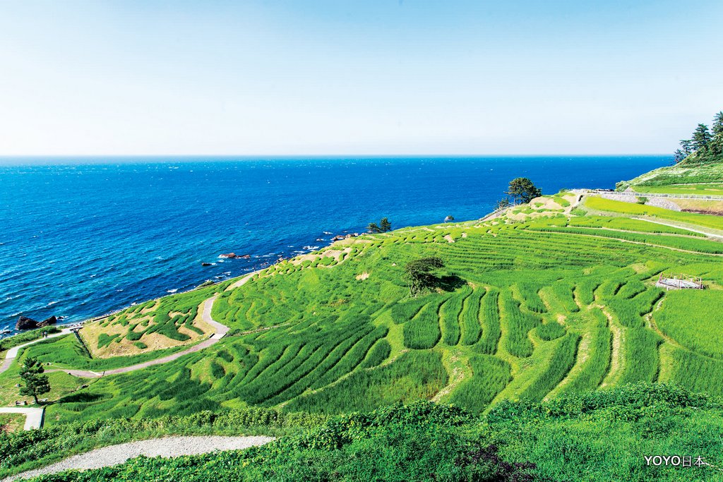 【北陸景點】【石川景點】白米千枚田 @嘿!部落!