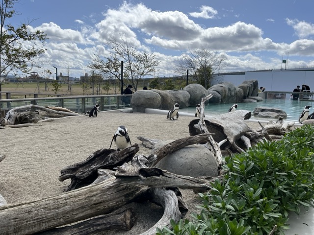 [遊記] 仙台海洋森林水族館 @嘿!部落!