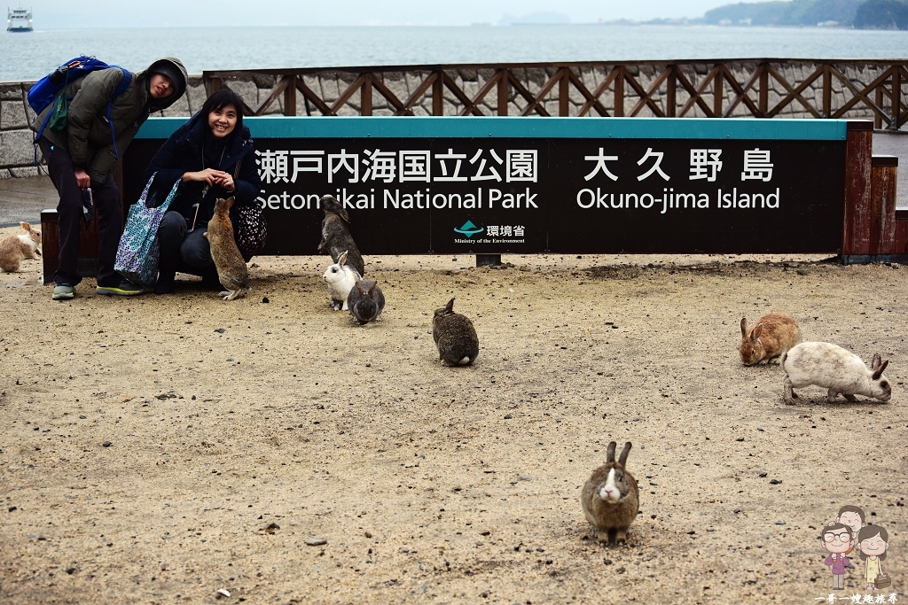 廣島縣竹原市忠海町｜瀨戶內海上的大久野島(兔子島)！漂洋過海就為了來這傳說中的兔子樂園 @嘿!部落!