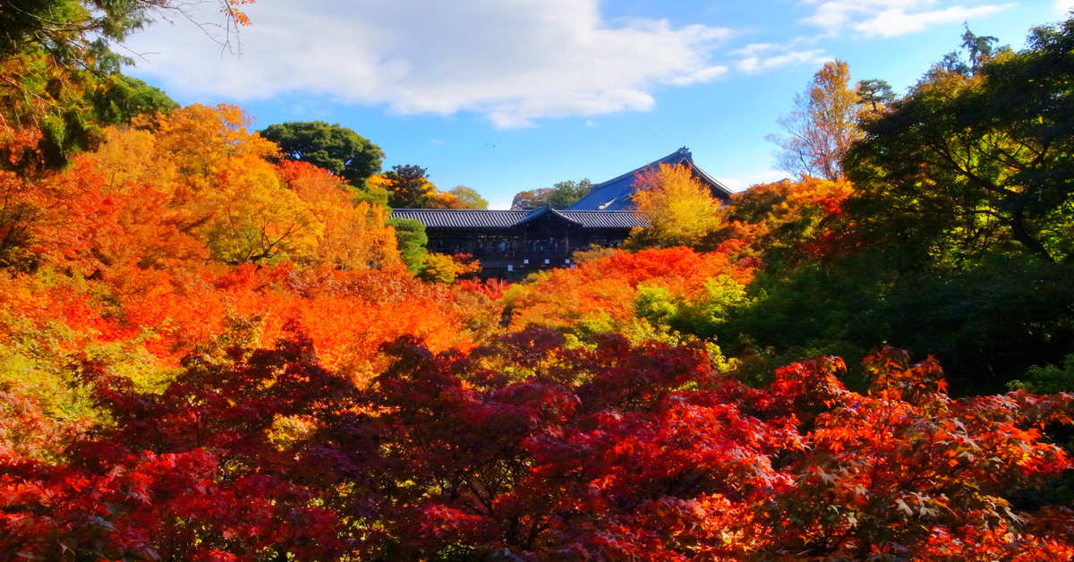 京都賞楓｜東福寺！京都最大最古老，楓葉最火紅的勝地 @嘿!部落!