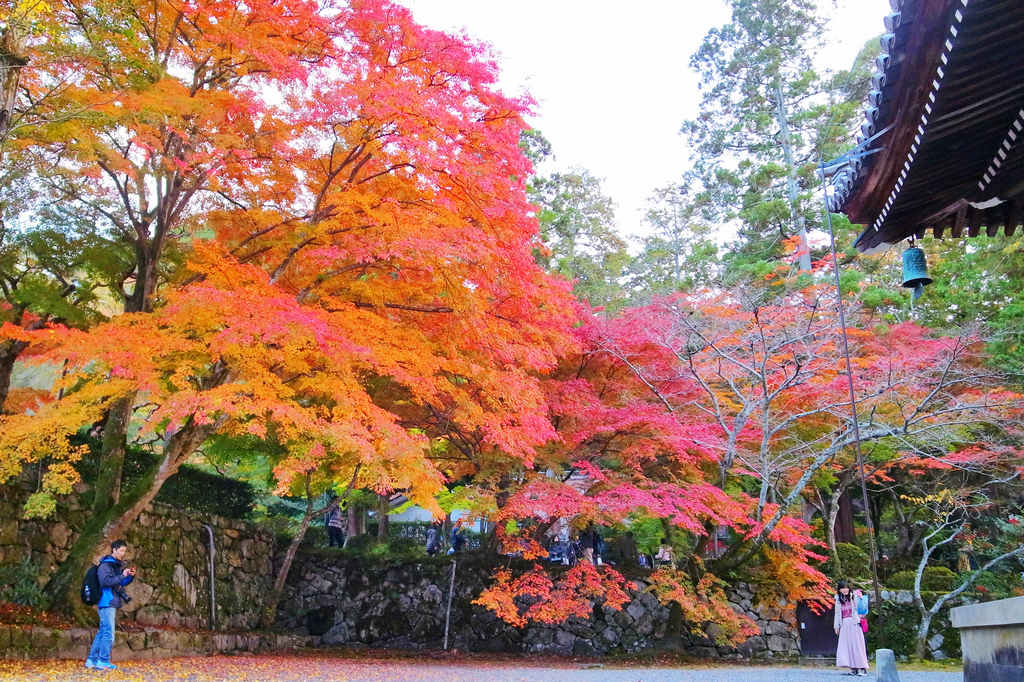 京都賞楓｜洛北紅葉勝地～詩仙堂，如詩、如夢還是畫？ @嘿!部落!