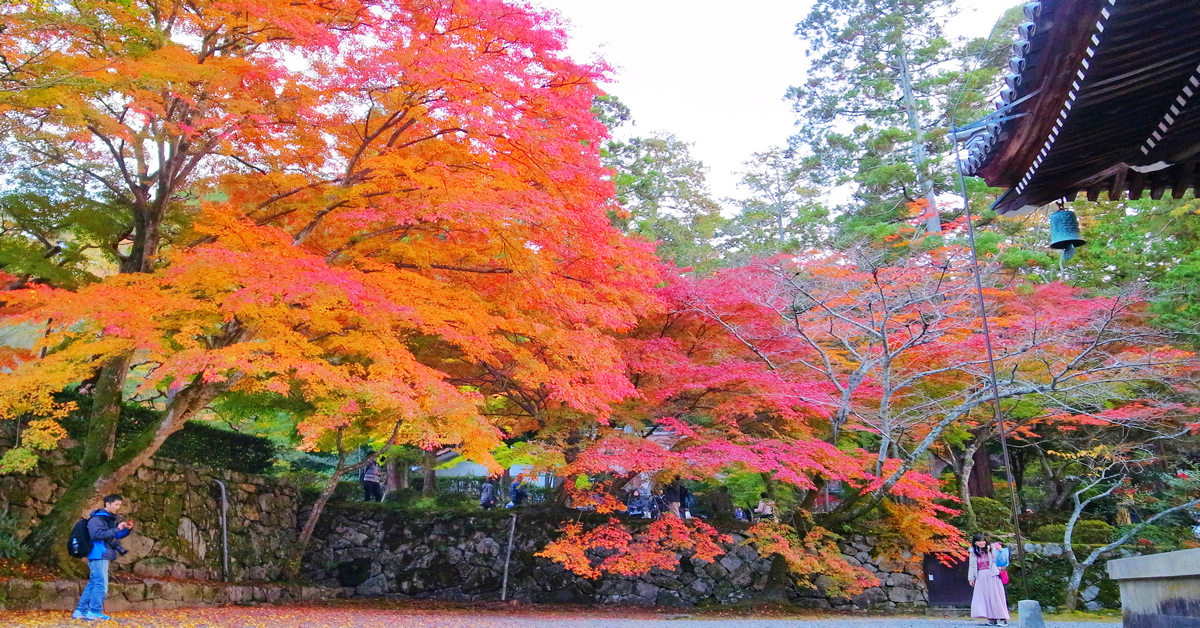 京都賞楓｜散步好風景，南禪寺賞楓趣 @嘿!部落!