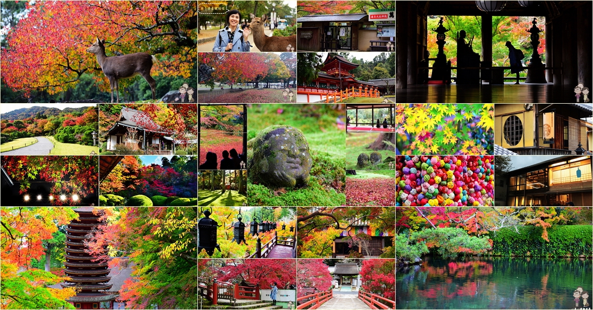 京都奈良賞楓六天五夜自由行｜奈良古寺紅葉鐵三角～談山神社／長谷寺／室生寺、京都大原三千院、叡電夜楓電車、嵐山一日遊 @嘿!部落!