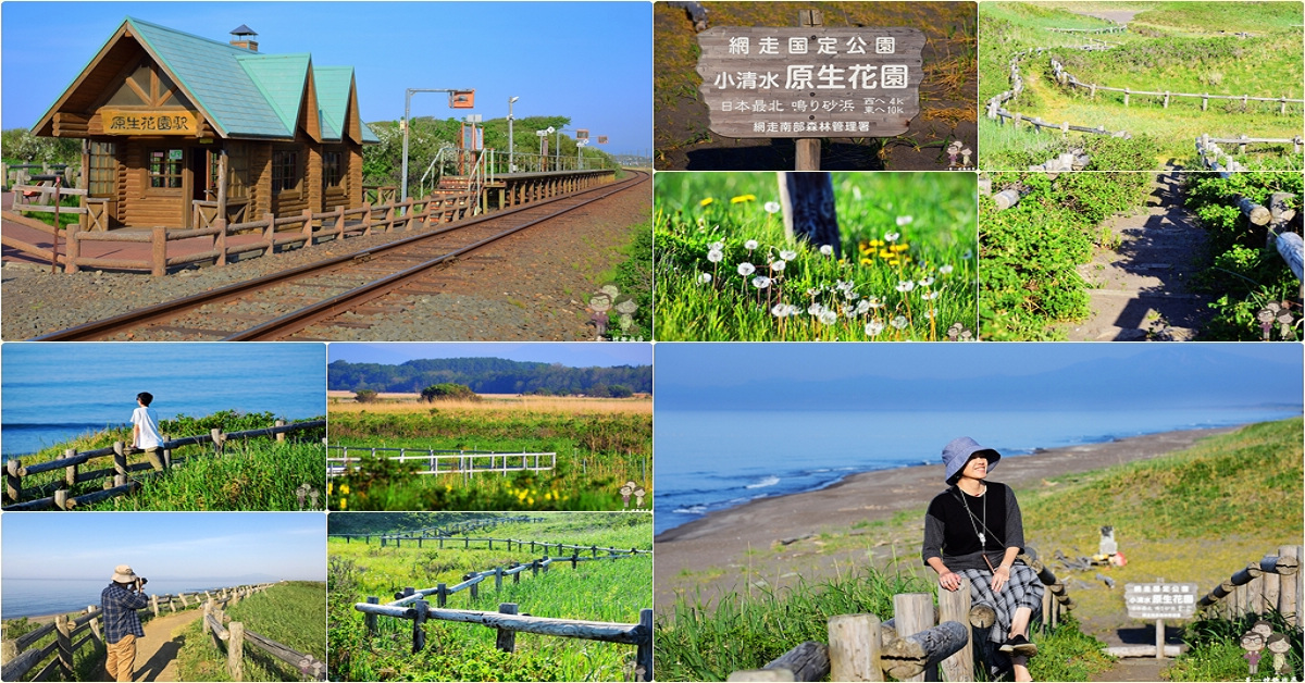 北海道網走｜純正道東自然風情～小清水原生花園 @嘿!部落!