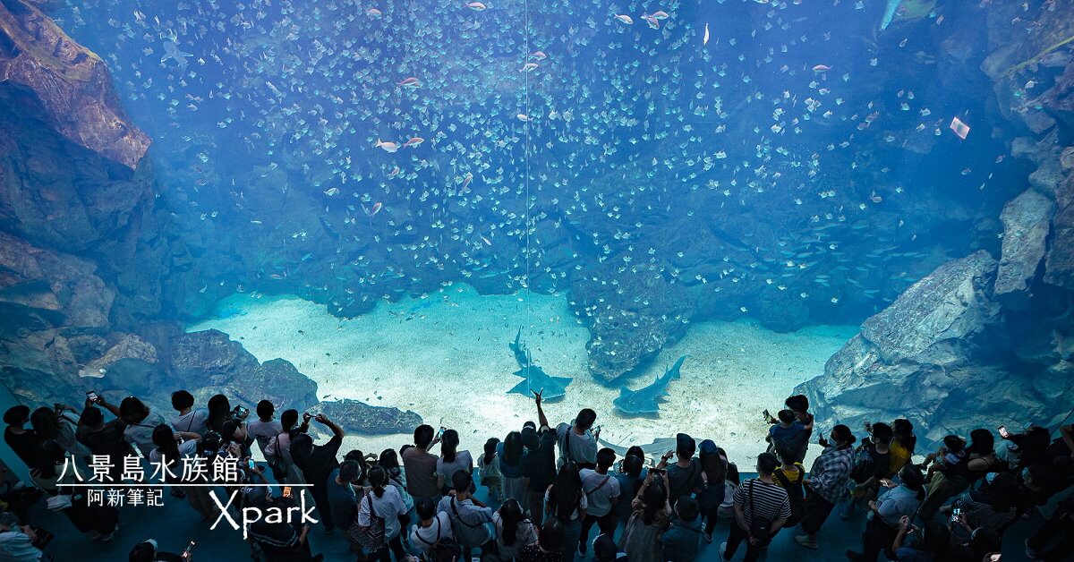 Xpark |2020最人氣桃園水族館，xpark門票價格、xpark交通及13區介紹～