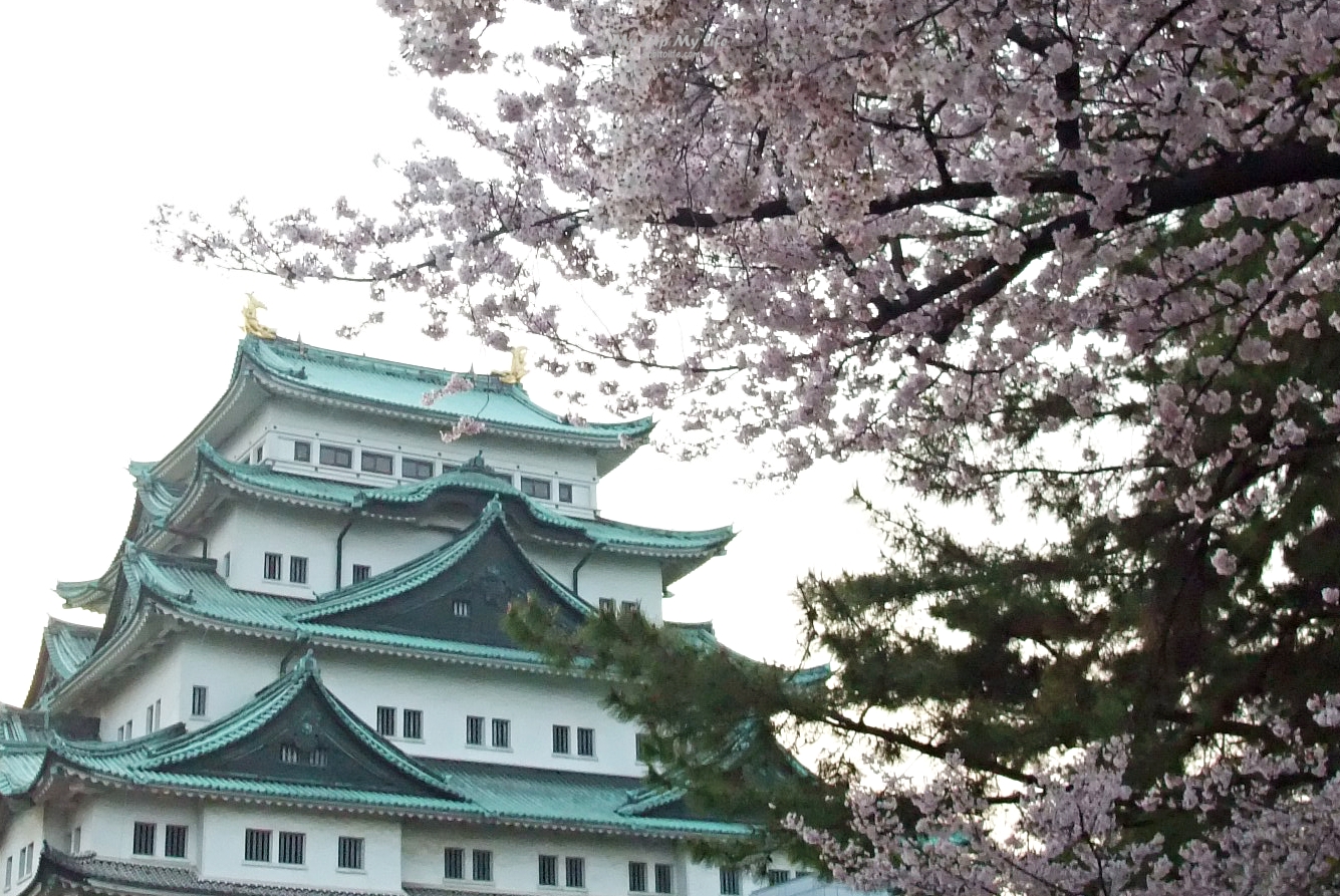 【日本旅行】名古屋城觀光～賞櫻、夏季、冬季不同之美 @嘿!部落!