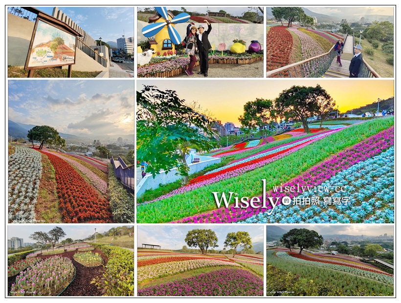 北投社三層崎公園花海︱交通接駁、停車資訊、花期時間、必拍角度～北投景點 x 台北IG打卡景點 @嘿!部落!