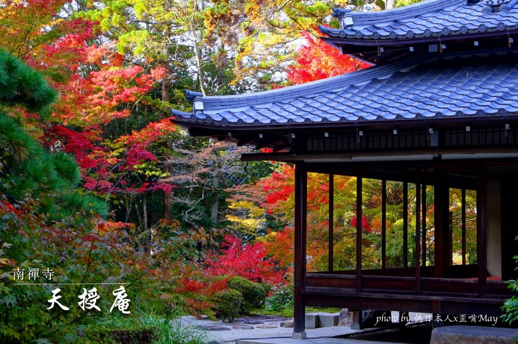 京都、景點 | 南禪寺 天授庵（てんじゅあん）。枯山水庭園與火紅楓葉交織的一隅美景 @嘿!部落!