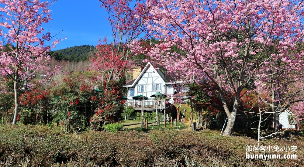 新竹戶外景點山上人家森林農場門票費用與一日遊攻略 @嘿!部落!