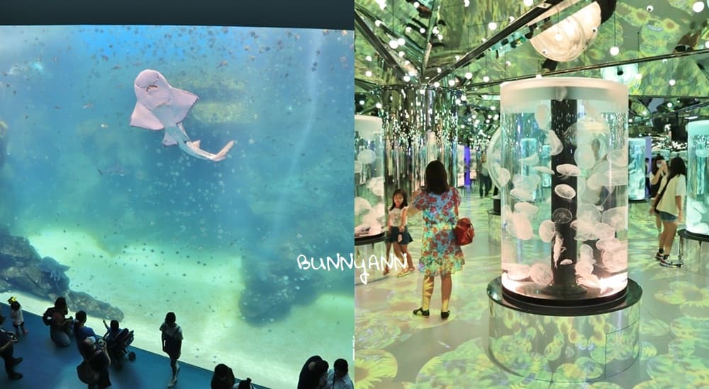 桃園XPARK水族館跟企鵝一起吃飯！Xpark水生公園門票&餐廳攻略