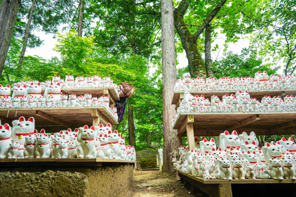 豪德寺 東京景點 日本三大招財貓神社之一 帶隻貓兒回家吧！ @嘿!部落!