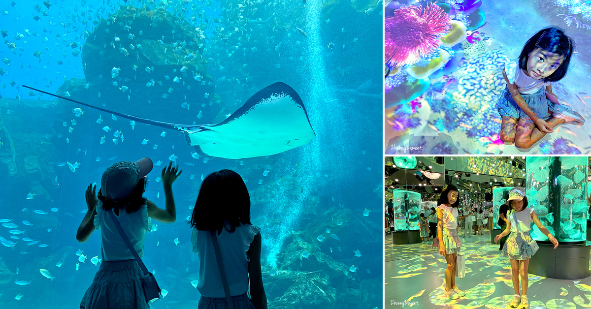 桃園水族館》Xpark 水族館～日本橫濱八景島跨海打造全台首座都會型水生公園，13 大主題展區超吸睛