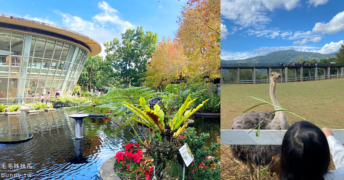 台東親子景點》原生應用植物園～盡情餵羊、餵鴕鳥、在草原奔跑，養生汆燙火鍋吃到飽