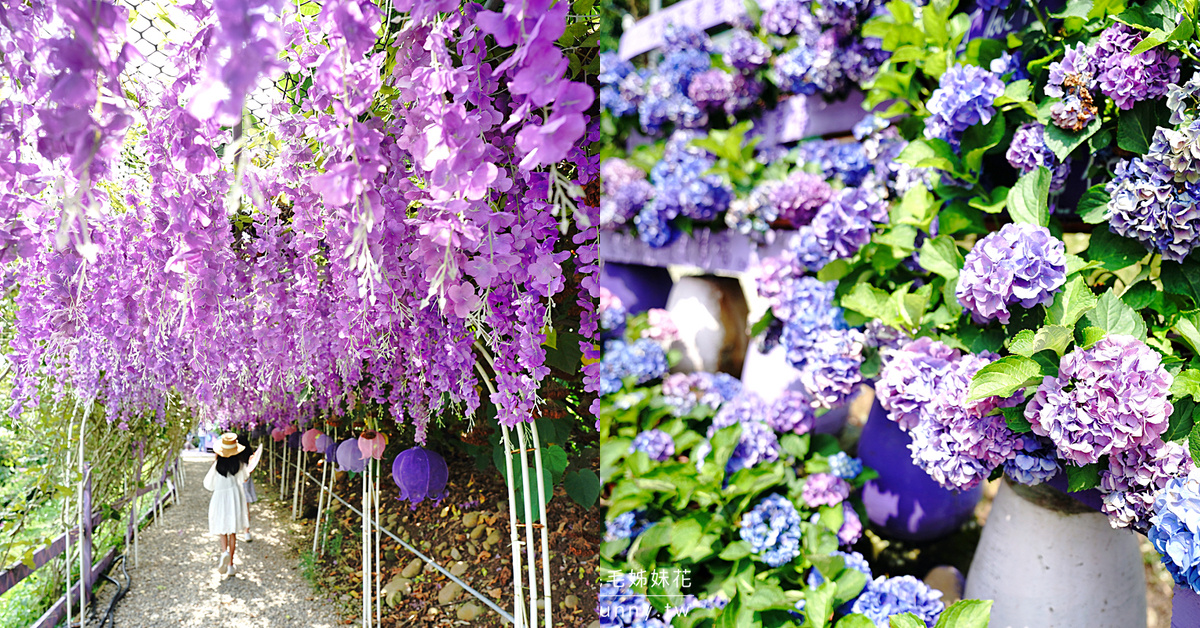 苗栗景點》噢哈娜咖啡屋～超夢幻紫色仙境景觀餐廳，紫藤、繡球花賞花秘境 @嘿!部落!