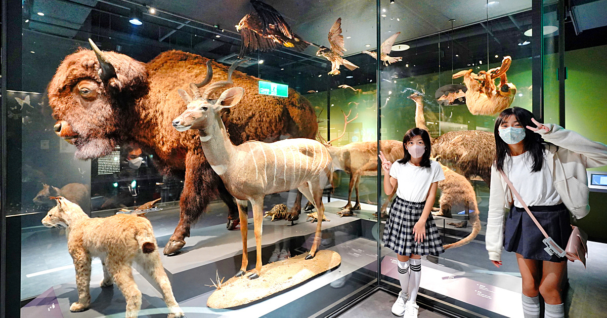 台北親子景點》科教館「生物多樣性常設展」全新登場!! 擬真模型、真實標本看到飽，還能觸摸穿山甲 @嘿!部落!