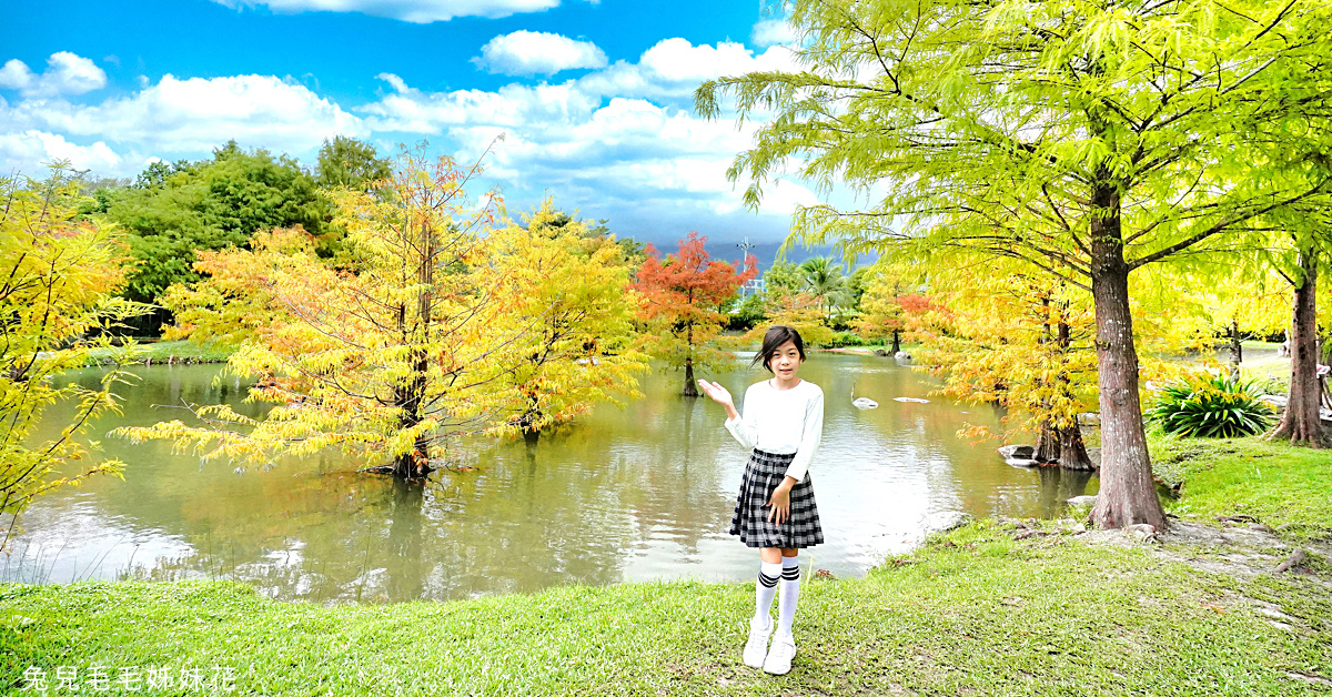 花蓮免費景點》松湖驛站～烤雞景觀餐廳其實是個免費落羽松秘境，4000坪松湖庭園超夢幻