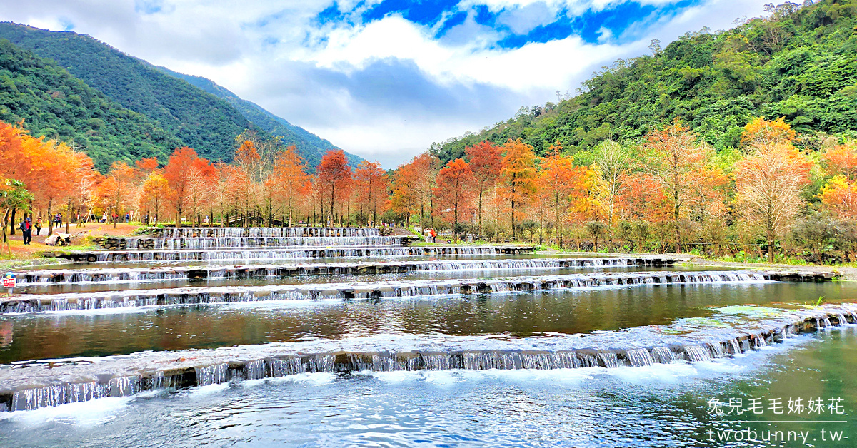 宜蘭落羽松》三層坪水土保持農塘教育園區～九層疊瀑水塘落羽松秘境｜最新預約及候補方式 @嘿!部落!