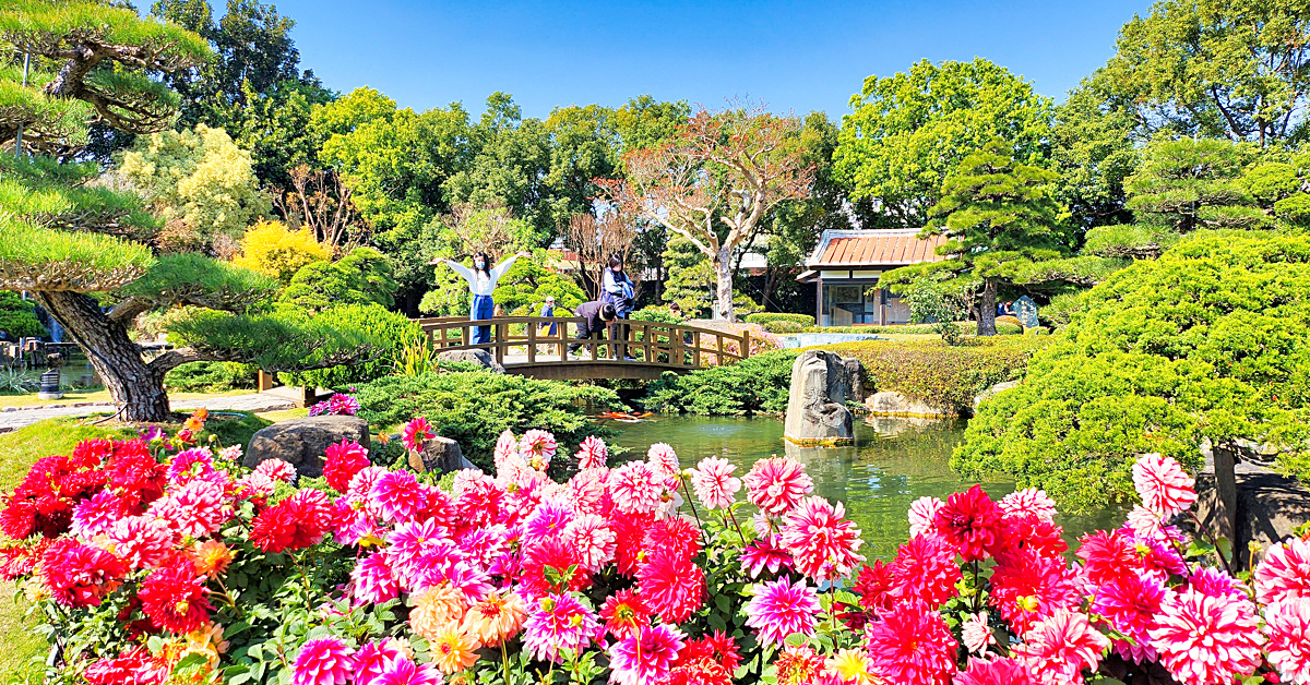 彰化景點》成美文化園~台版兼六園好美好好拍，落羽松大道超夢幻 @嘿!部落!