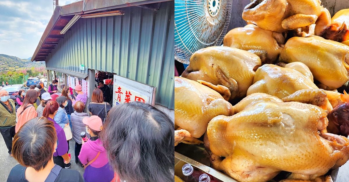 陽明山美食》青菜園～竹子湖每天都客滿的土雞城，賞海芋、繡球花順便來吃白斬雞和野菜 @嘿!部落!