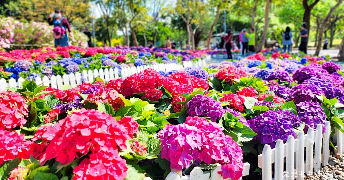 台北免費景點》大安森林公園~繡球花、杜鵑花齊綻放!! 捷運就能到的免費花海，還有森林之王遊戲區可以遛小孩 @嘿!部落!