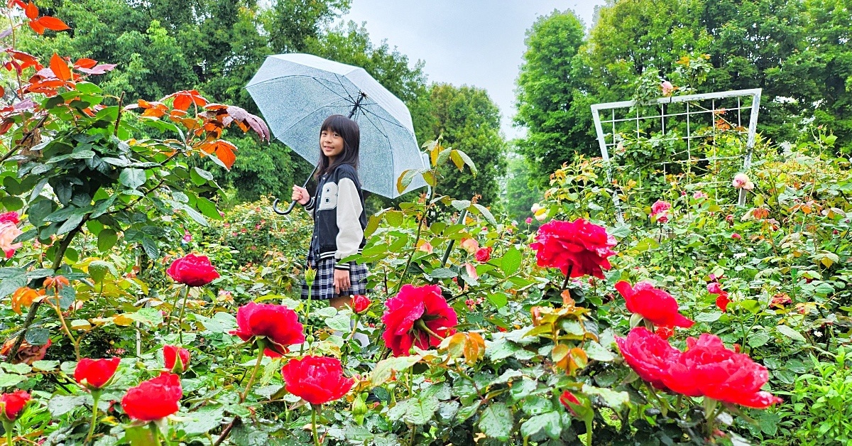 桃園免費景點》雅聞魅力博覽館~浪漫玫瑰花園免費拍!! 還有溫室餐廳、香氛DIY @嘿!部落!