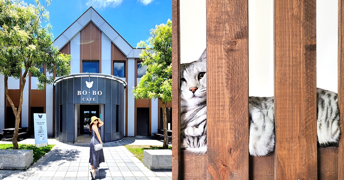 五股景點》豹豹咖啡森林館 BoBo Cafe~觀音山景觀咖啡廳，六隻駐店豹貓陪用餐超療癒 @嘿!部落!