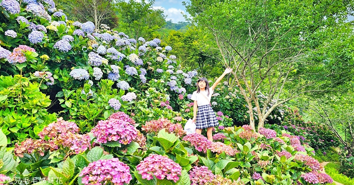 苗栗南庄景點》碧絡角花園咖啡~山中秘境賞花景觀餐廳，繡球花綻放中，秋冬賞楓、賞櫻 @嘿!部落!