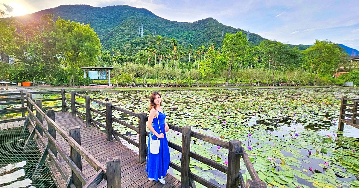 花蓮吉安景點》蓮城蓮花園～免費賞蓮花拍美照、戲水餵魚，還招待大壺蓮花茶 @嘿!部落!