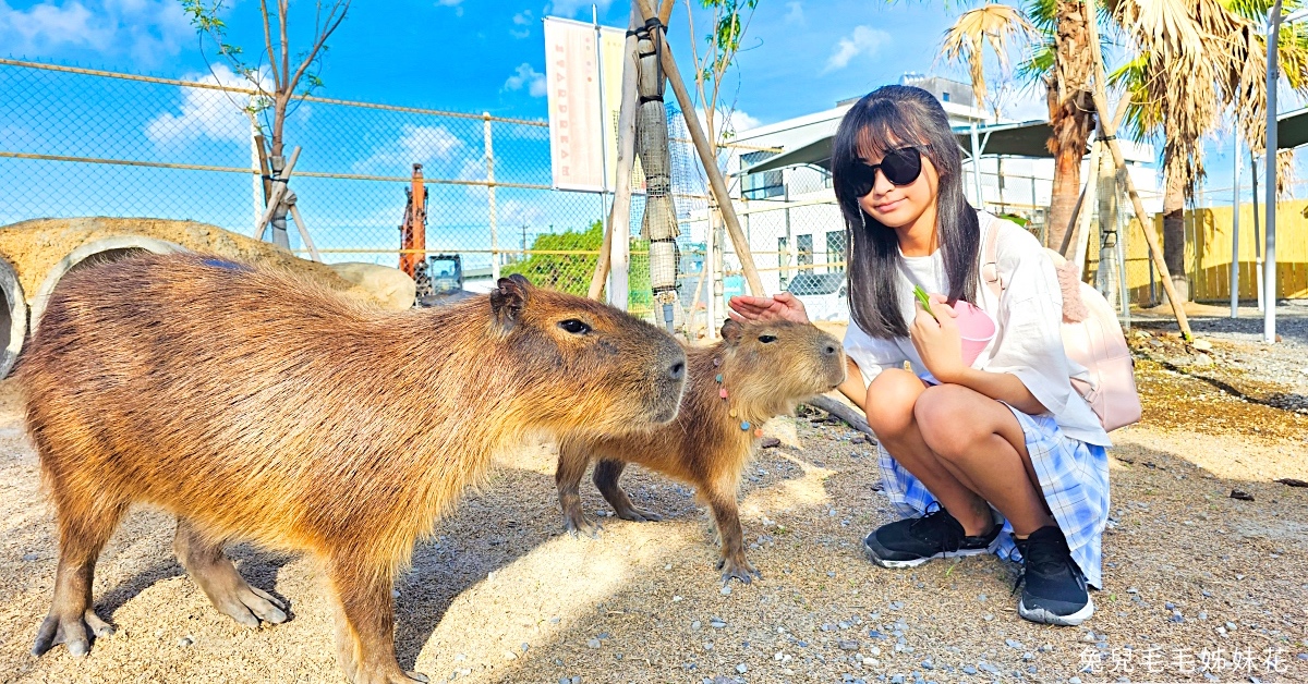 宜蘭冬山景點》星夢森林劇場～是小型動物園也是兒童遊戲場，一張門票暢玩兩區還附飼料