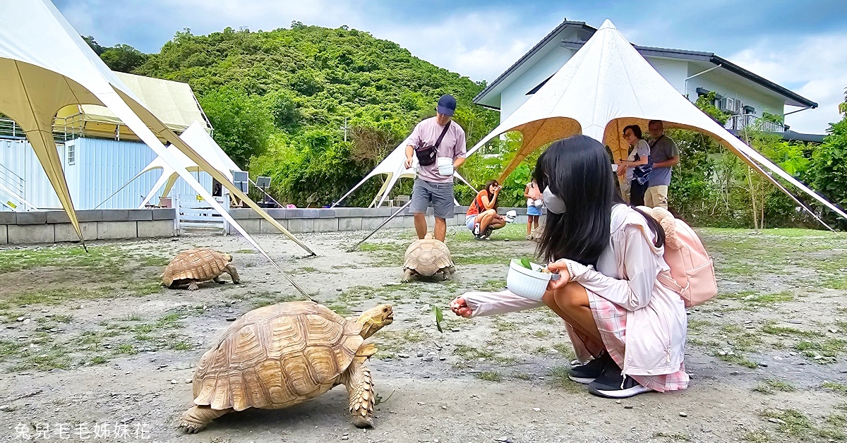 宜蘭冬山景點》慢吞吞農場～全新開幕動物農場!! 象龜、浣熊、柯爾鴨、垂耳兔都可以餵食