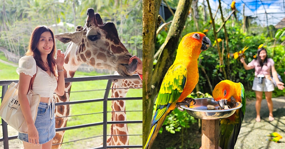 宿霧景點【宿霧野生動物園】Cebu Safari and Adventure Park～菲律賓最大最好玩動物園 @嘿!部落!