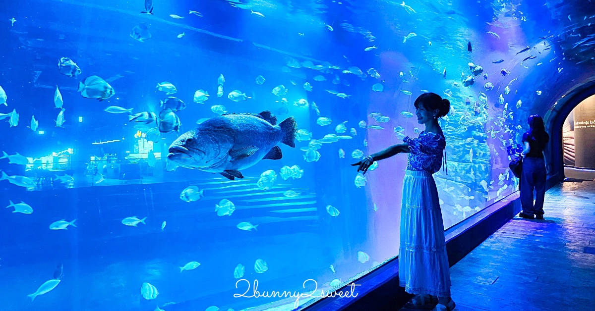 河內樂天世界水族館 Lotte World Aquarium Hanoi｜北越最親子景點，吹冷氣探索海底世界